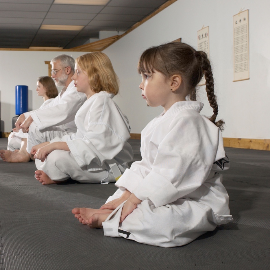 Martial arts for cultural enrichment