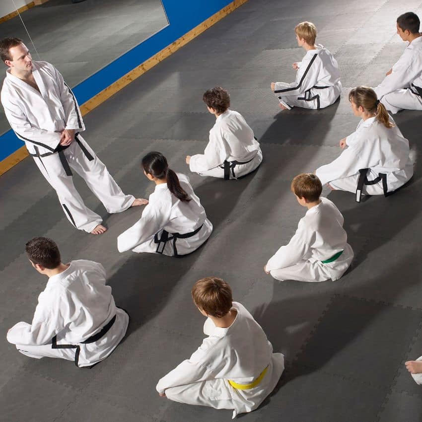 The martial arts instructor
